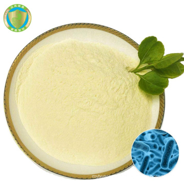 Hot Sale Cheap Customization Food Supplement Lactobacillus Bulgaricus Probiotic